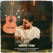 آهنگ جدید عاطف به نام خوابتو دیدم